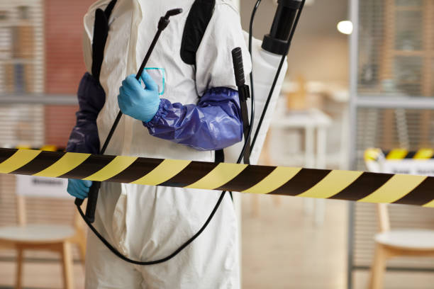 Professional Sewage Cleanup technician working in Berea, OH